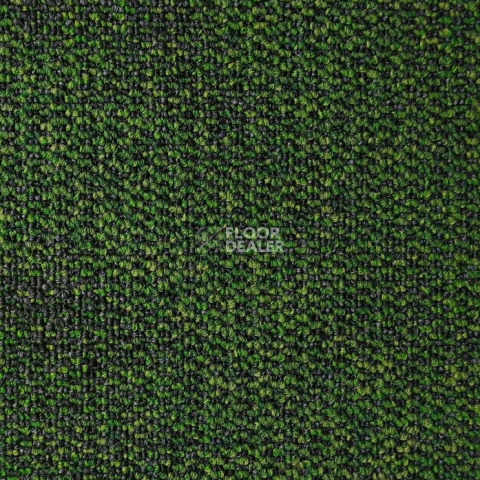 Bonkeel Pascal / Паскаль Green фото 2 | FLOORDEALER
